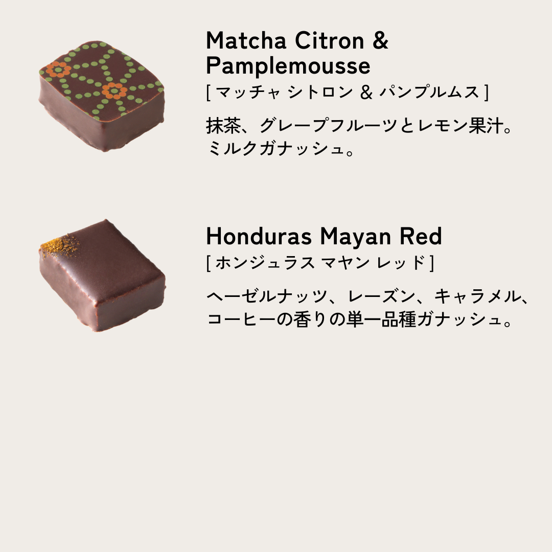 ブノワ・ニアン ボックス14個入