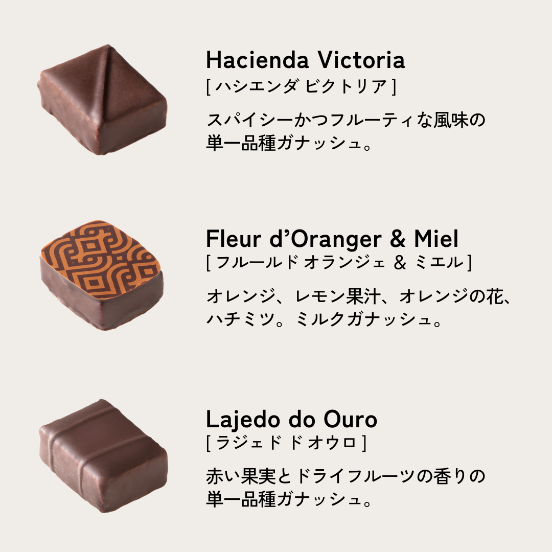ブノワ・ニアン ボックス24個入