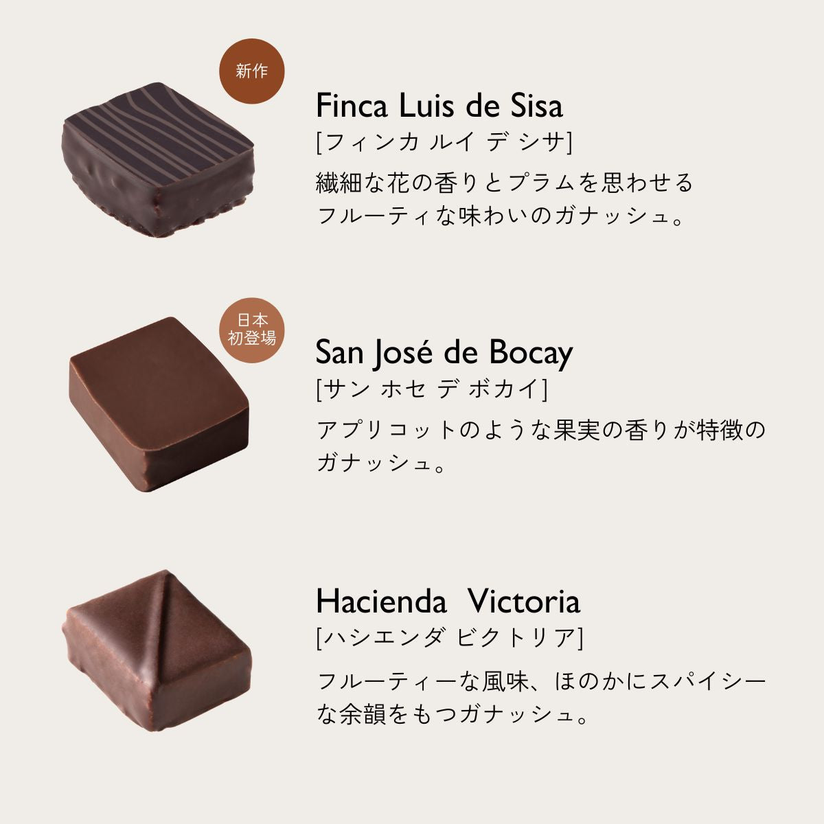 【バレンタイン2026】グランクリュ ボックス