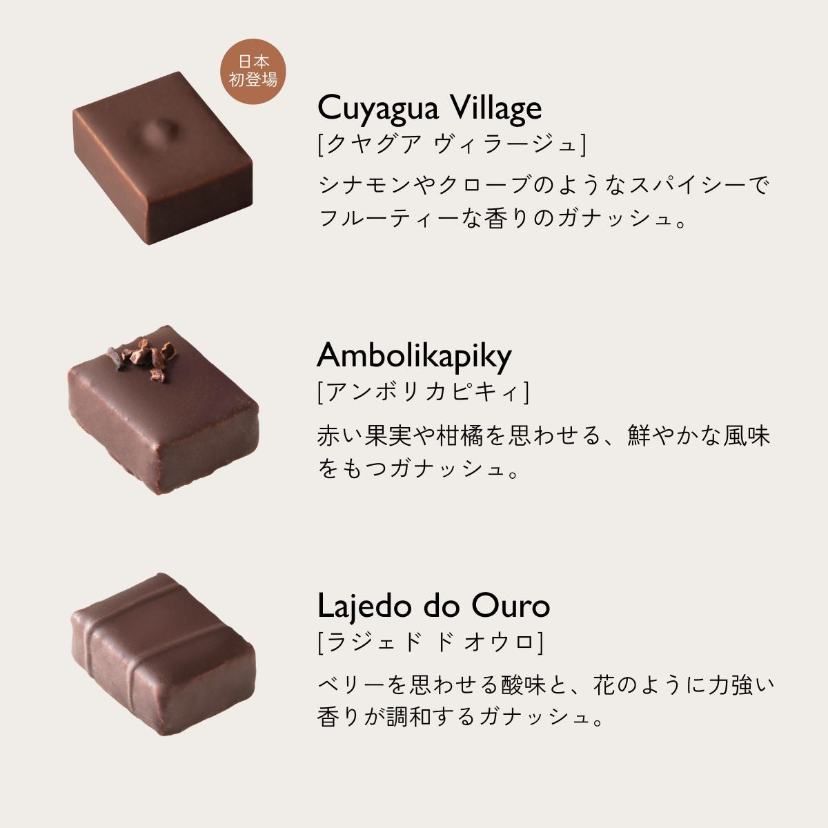 【バレンタイン2026】グランクリュ ボックス